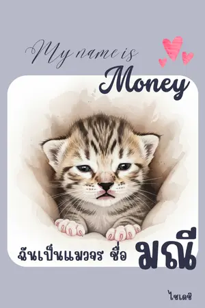 ปกนิยาย ฉันเป็นแมวจร ชื่อ มณี : My Name is Money