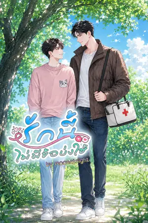ปกนิยาย รักนี้ไม่มีข้อบ่งใช้