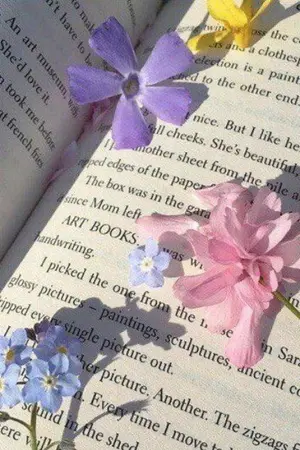 ปกนิยาย 「fic Mairimashita! lruma-kun」เรื่องราวของหนอนหนังสือ