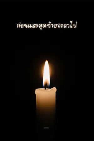 ปกนิยาย ก่อนแสงสุดท้ายจะลาไป