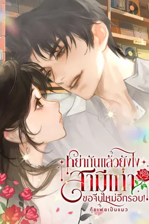 ปกนิยาย หย่ากันแล้วยังไง สามีเก่าขอจีบใหม่อีกรอบ!
