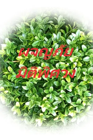 ปกนิยาย ผจญภัยมิติพิศวง