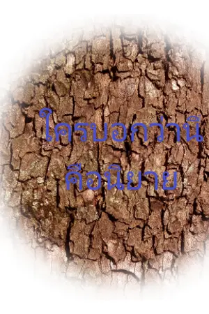 ปกนิยาย โลกใบนี้ไม่ใช่นิยาย