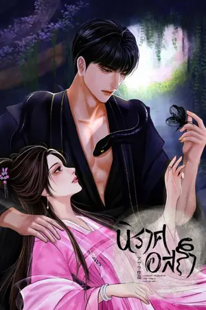 ปกนิยาย นิราศ อสรา