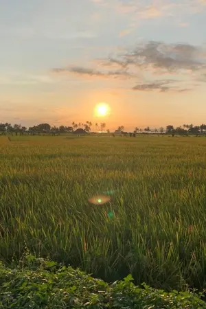 ปกนิยาย ข้ามมิติปลูกผักรวย