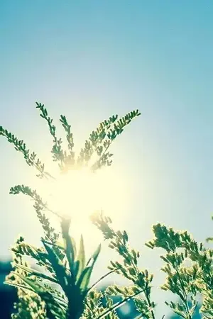 ปกนิยาย โอบรักษ์ทิวากร