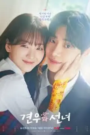 ปกนิยาย (ซีรีส์เกาหลี) Head over Heels (2025) หนุ่มดวงจู๋กับหมอดูคนจ๋วย Ep.1-12 (จบ)