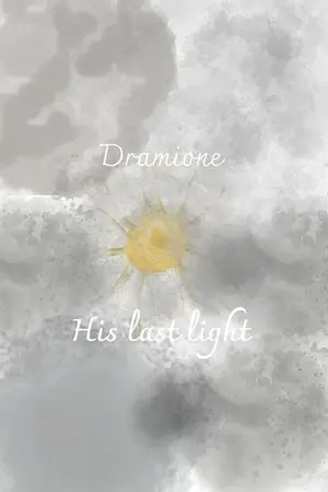 ปกนิยาย His last light