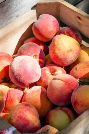 ปกนิยาย ( Fanfic Wind Breaker ) Daytime , Kaji x OC