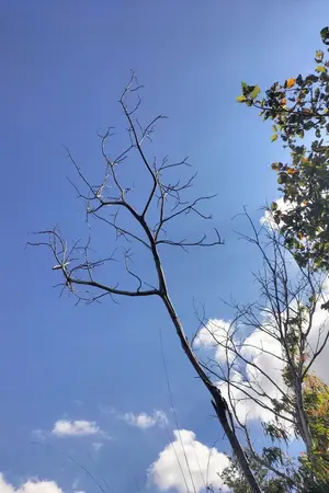 ปกนิยาย U R My Photograph และนายคือสิ่งที่ฉันตั้งใจ