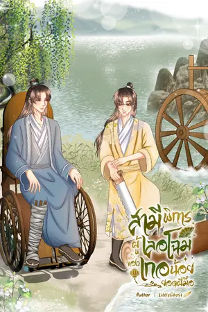 ปกนิยาย สามีพิการผู้เลอโฉมของเกอน้อยยอดฝีมือ