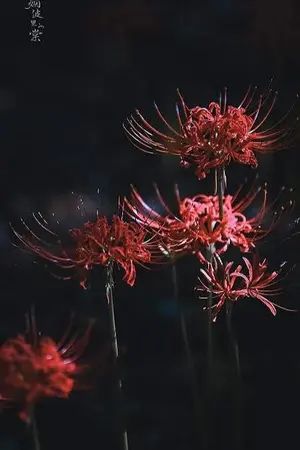 ปกนิยาย [Fic Jujutsu Kaisen ft.Naruto] ความต่างที่ลงตัว (sasuke x OC )