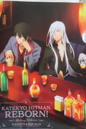 ปกนิยาย ฟิค [ KHR/REBORN ]  XS