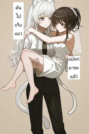 ปกนิยาย ดันไปเก็บแมวแปลกมาซะแล้ว