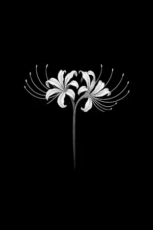 ปกนิยาย อาริสะกับอาถรรพ์ลี้ลับ