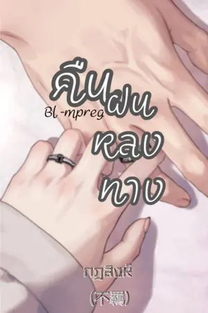 ปกนิยาย คืนฝนหลงทาง | BL-Mpreg