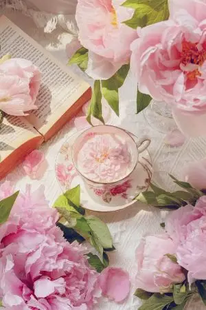 ปกนิยาย ดันเจี้ยนนี้ขอไม่เอาได้ไหม