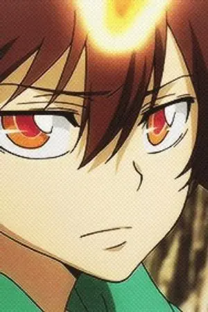ปกนิยาย [ Fic Reborn ] Ojos verdes ( Sawada Tsunayoshi X OC )