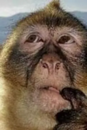 ปกนิยาย Edge of Darkness