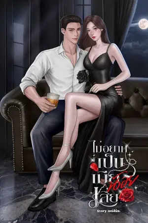 ปกนิยาย ไม่อยากเป็นเมีย(น้อย)เสี่ย