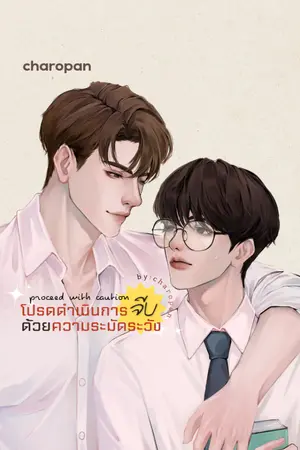 ปกนิยาย proceed with caution โปรดดำเนินการจีบด้วยความระมัดระวัง (BL)
