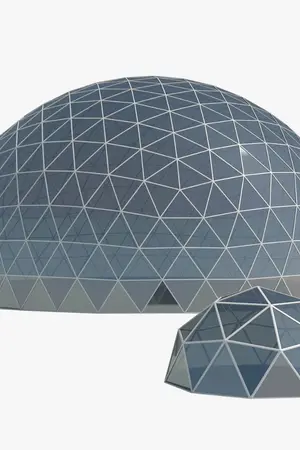 ดอกไม้ใต้โดมเหล็ก     Iron Dome Flower