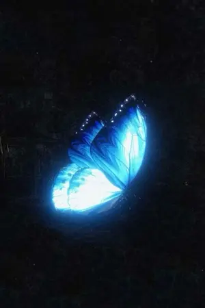 ปกนิยาย [ Fic Reborn/KHR ] butterfly Effect (All x oc)