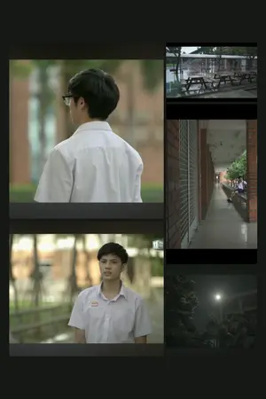 ปกนิยาย my vanilla | nonboss