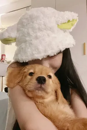 ปกนิยาย เขตแดนร้ายรัก (Sweet Revenge)