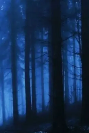 ปกนิยาย C.F.E.L