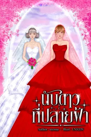 ปกนิยาย นับดาวที่ปลายฟ้า