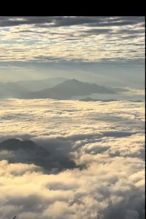 ปกนิยาย ข้าขอลาจากวาสนา