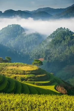 ปกนิยาย เอสเปอร์ทะลุมิติยุคโบราณ : บิดาข้ามีความลับ