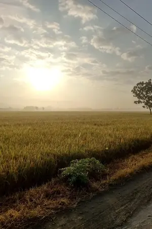 ปกนิยาย ใต้แสงเดียวกัน