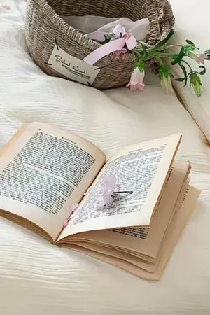 ปกนิยาย ลิขิตรักชินอ๋อง