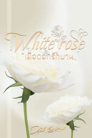 ปกนิยาย White rose เมื่อดอกรักบาน