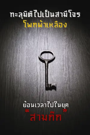 ปกนิยาย ทะลุมิติไปเป็นสามีโจรโพกผ้าเหลือง