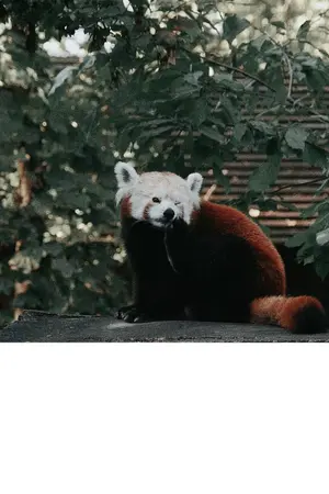 ปกนิยาย การใช้ชีวิตเรื่อยเปื่อยของตัวประกอบไร้ชื่อ