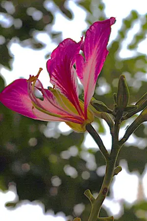 ปกนิยาย เมื่อฉันเริ่มมีความรักแล้ว