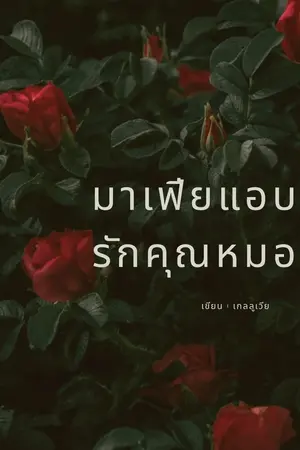 ปกนิยาย มาเฟียแอบรักคุณหมอ