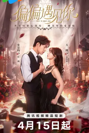 ปกนิยาย Just To Meet You (2026) บังเอิญพบก็เผลอรัก Ep.1-24 (จบ)