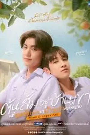 ปกนิยาย (ดู) When Oranges Fall (2026) ต้นส้มอยู่บ้านเขา แต่ผลส้มหล่นมาบ้านเราตลอดเลย Ep.1-12 (จบ)