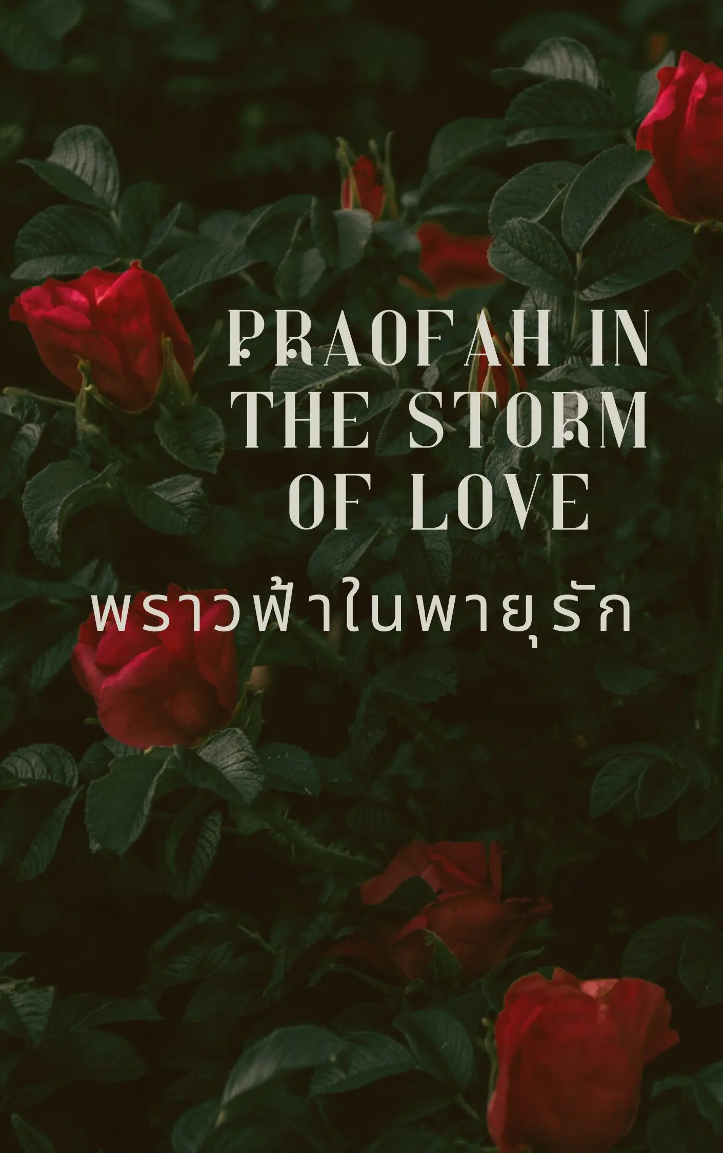 ปกนิยาย พราวฟ้าในพายุรัก ( คุณวายุ x หนูพราวฟ้า )