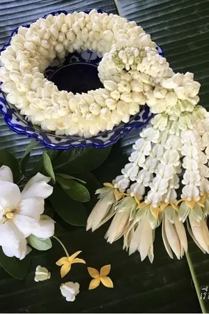 ปกนิยาย มาลัยของท่านหลวง