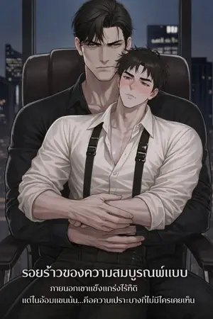 ปกนิยาย รอยร้าวของความสมบูรณ์แบบ