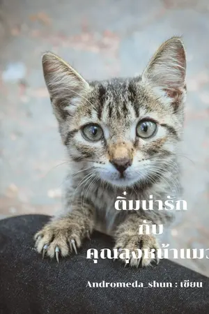 ปกนิยาย ติ๋มน่ารักกับคุณลุงหน้าแมว