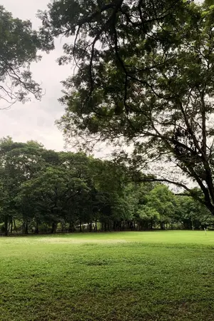 ปกนิยาย ความสวยงามที่อยู่ตรงหน้า