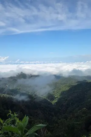 ปกนิยาย ปักหมุดแล้ว...ที่หัวใจคุณ