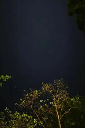 ปกนิยาย นิราศค่ายเขาชนไก่