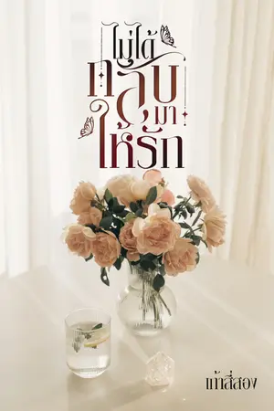 ปกนิยาย ไม่ได้กลับมาให้รัก